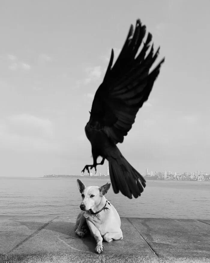 This Photographer Finds Just The Perfect Timing For Her B&W Photos, And Here's 30 Of Them