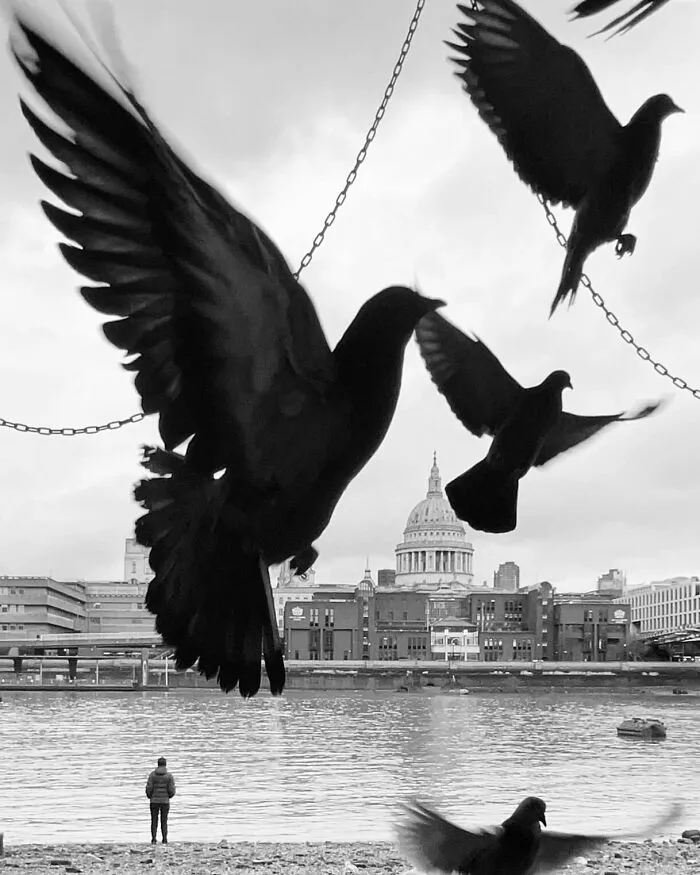 This Photographer Finds Just The Perfect Timing For Her B&W Photos, And Here's 30 Of Them