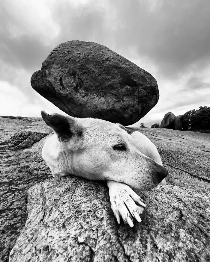 This Photographer Finds Just The Perfect Timing For Her B&W Photos, And Here's 30 Of Them