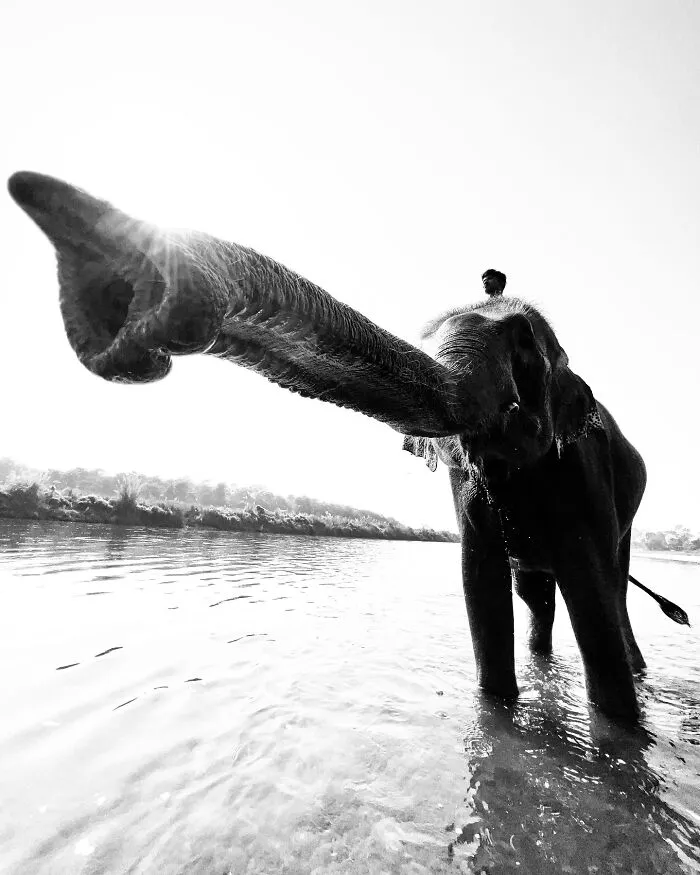 This Photographer Finds Just The Perfect Timing For Her B&W Photos, And Here's 30 Of Them