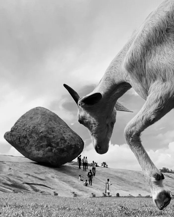 This Photographer Finds Just The Perfect Timing For Her B&W Photos, And Here's 30 Of Them