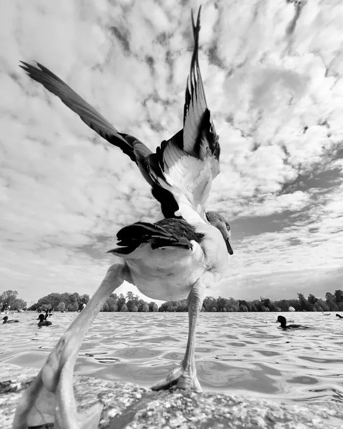 This Photographer Finds Just The Perfect Timing For Her B&W Photos, And Here's 30 Of Them
