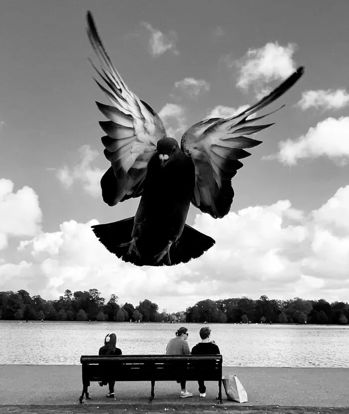 This Photographer Finds Just The Perfect Timing For Her B&W Photos, And Here's 30 Of Them