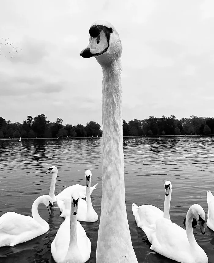 This Photographer Finds Just The Perfect Timing For Her B&W Photos, And Here's 30 Of Them