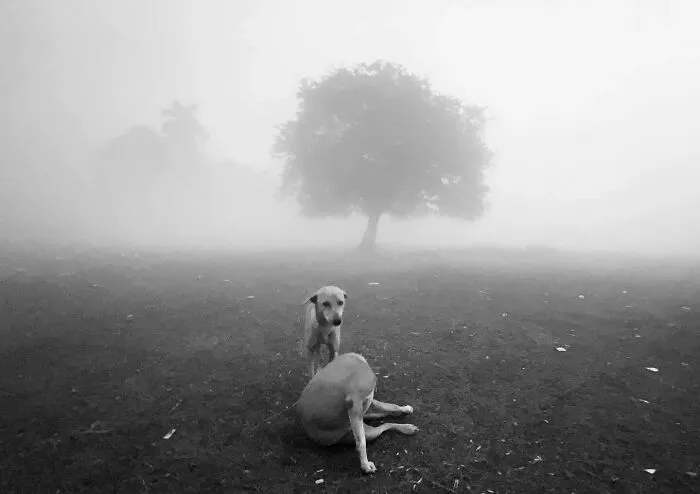 This Photographer Finds Just The Perfect Timing For Her B&W Photos, And Here's 30 Of Them