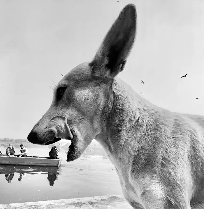 This Photographer Finds Just The Perfect Timing For Her B&W Photos, And Here's 30 Of Them