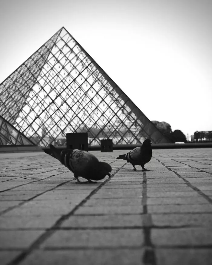 This Artist Captures Raw Energy Of Everyday Life In Black And White (30 Pics)