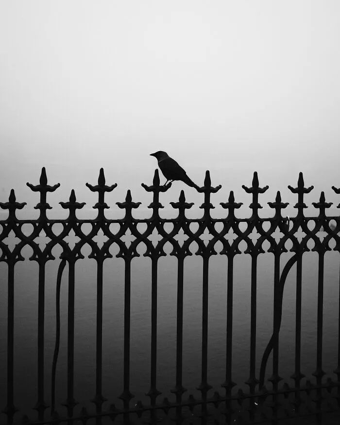 This Artist Captures Raw Energy Of Everyday Life In Black And White (30 Pics)