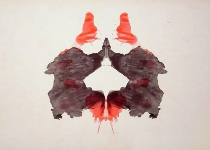 What Do You See?