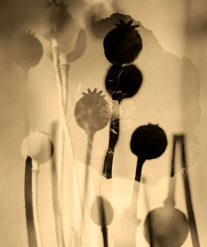 In The Flow Of Time