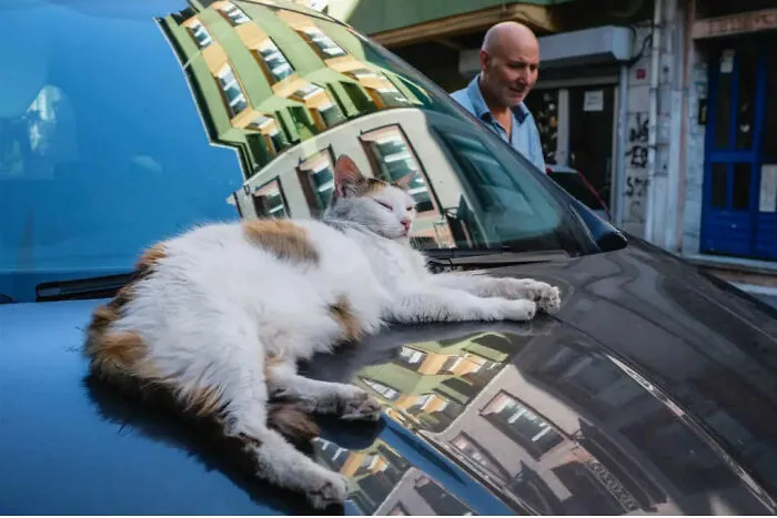 30 Candid And Unusual Moments In Life Captured By Jeffrey De Keyser (New Pics)