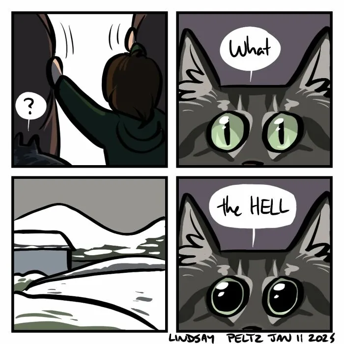 Artist Created 25 Relatable Comics That Perfectly Capture Life’s Struggles