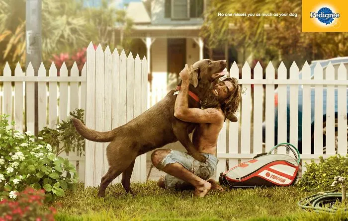 Paw-Sitive Impact: 29 Iconic Dog Ads That Stole Hearts Globally
