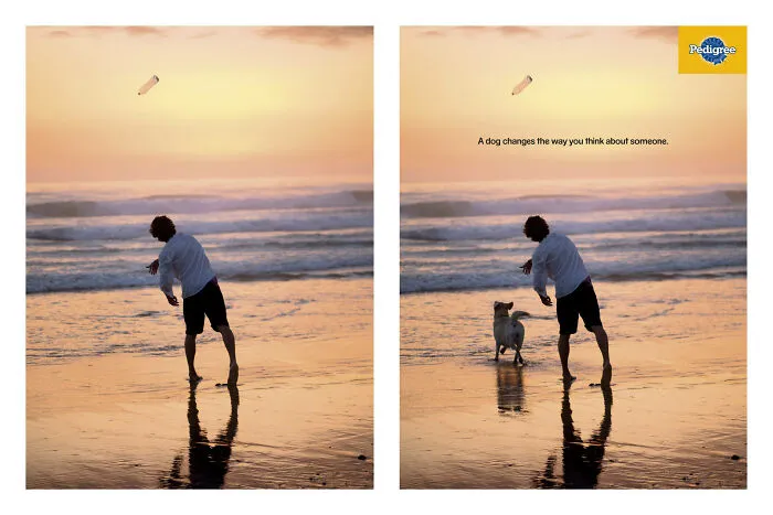 Paw-Sitive Impact: 29 Iconic Dog Ads That Stole Hearts Globally