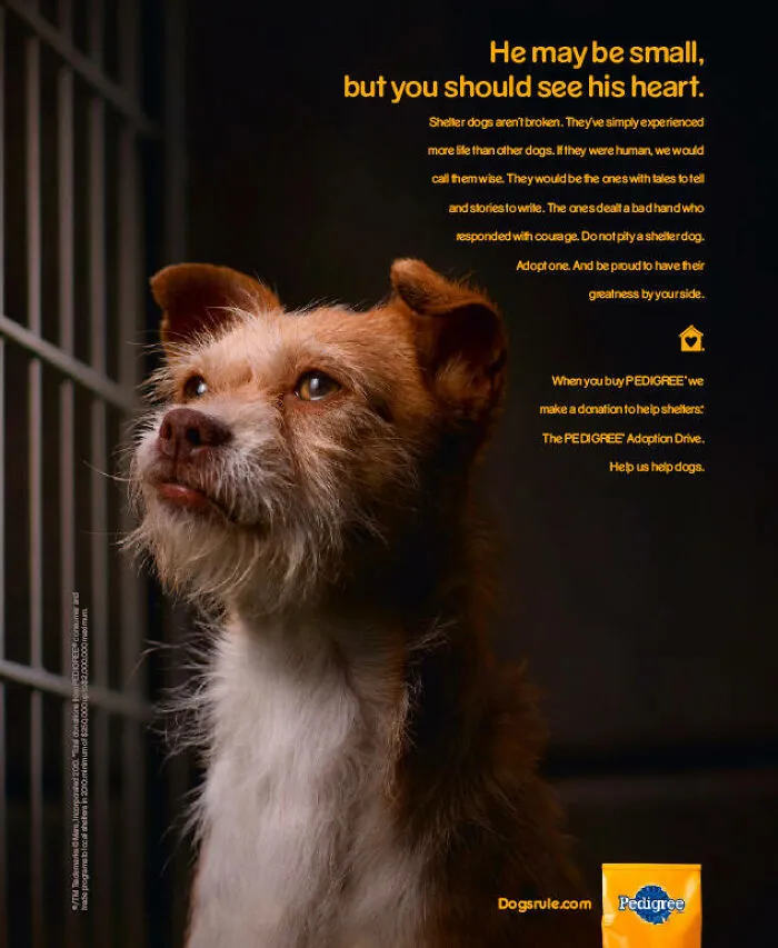 Paw-Sitive Impact: 29 Iconic Dog Ads That Stole Hearts Globally
