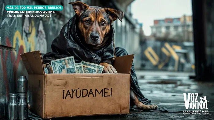Paw-Sitive Impact: 29 Iconic Dog Ads That Stole Hearts Globally