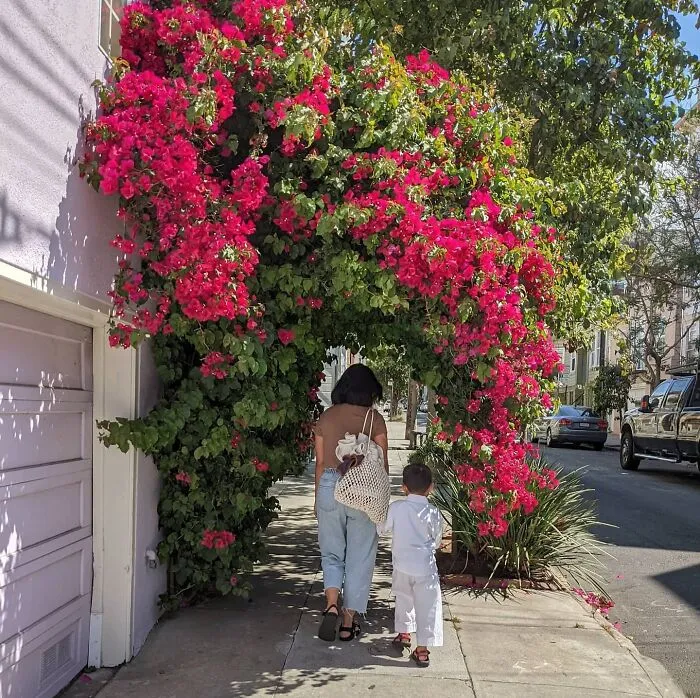30 Stunning Photos That Showcase San Francisco’s True Spirit Through Sage Akaboshi’s Eyes