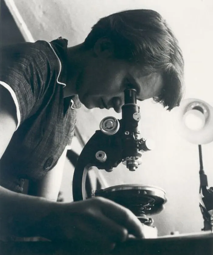 26 "Facts" We Were Taught As Truth In School That Turned Out to Be Complete Nonsense