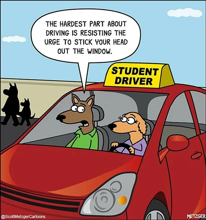 25 Of The Funniest Cat And Dog Comics By Scott Metzger That Perfectly Reveal Their Nature (New Pics)
