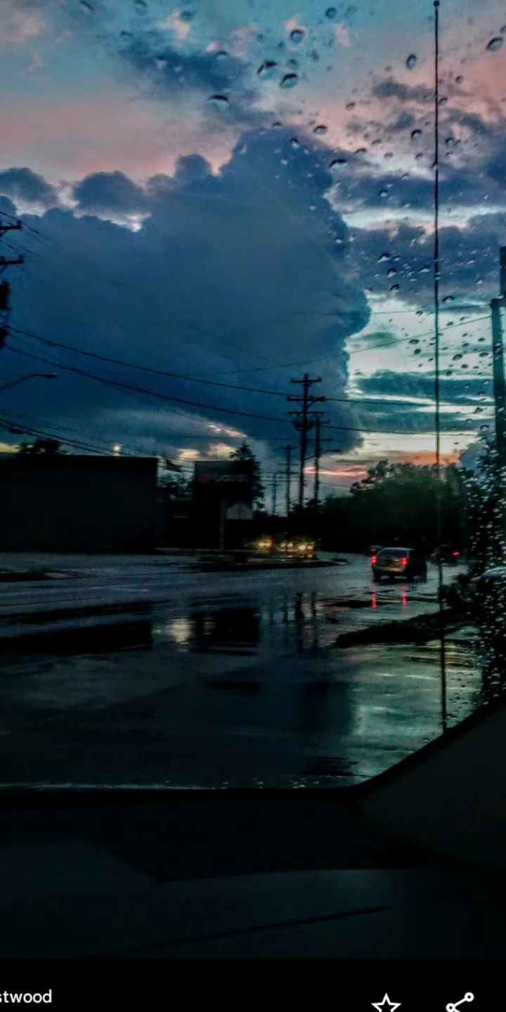 Rain Falls