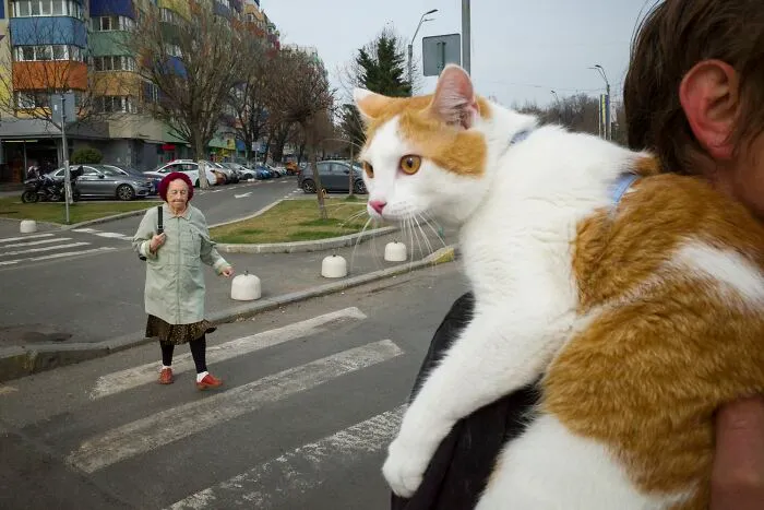 This Photographer Captured 40 Unexpectedly Funny Moments Spotted On The Streets