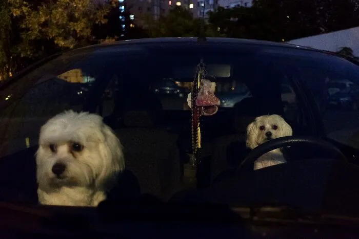 This Photographer Captured 40 Unexpectedly Funny Moments Spotted On The Streets