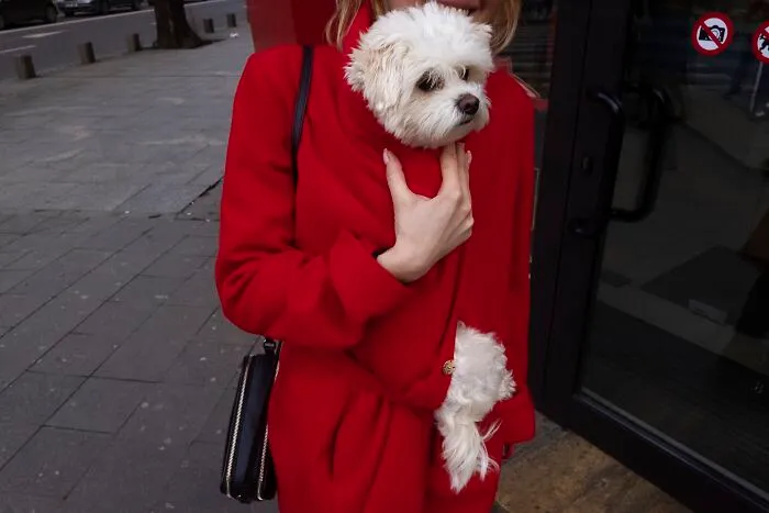 This Photographer Captured 40 Unexpectedly Funny Moments Spotted On The Streets