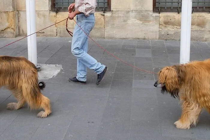 This Photographer Captured 40 Unexpectedly Funny Moments Spotted On The Streets