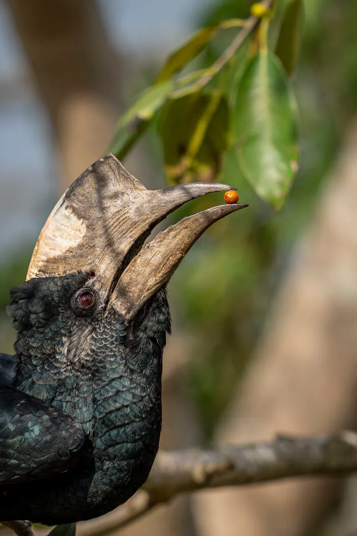 This Photographer Captures Nature’s Quiet Beauty Through His 39 Powerful Wildlife Photos
