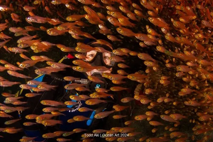 3rd Place Wide Angle: Where Is Waldo By Todd Aki
