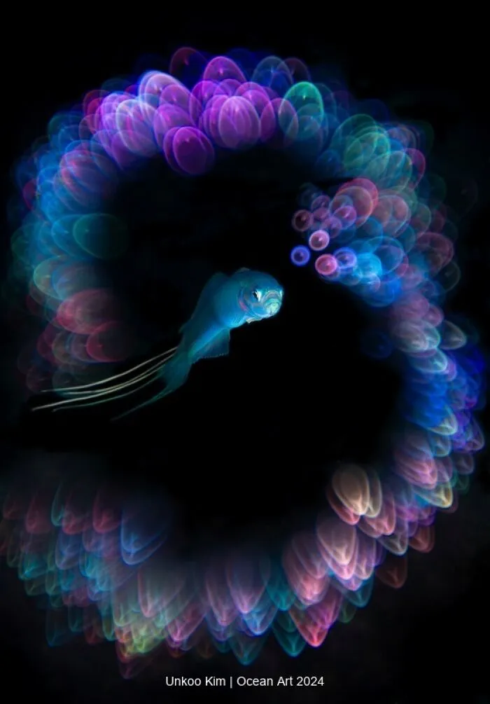 1st Place Underwater Digital Art: Desire By Unkoo Kim