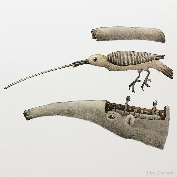 Surreal Zoology: 25 New Nonsensical Scientific Illustrations Of Wildlife By Tim Andraka