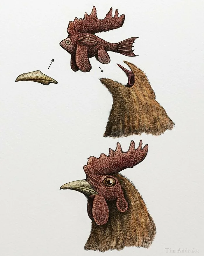 Surreal Zoology: 25 New Nonsensical Scientific Illustrations Of Wildlife By Tim Andraka