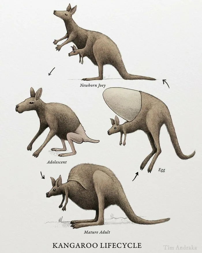Surreal Zoology: 25 New Nonsensical Scientific Illustrations Of Wildlife By Tim Andraka