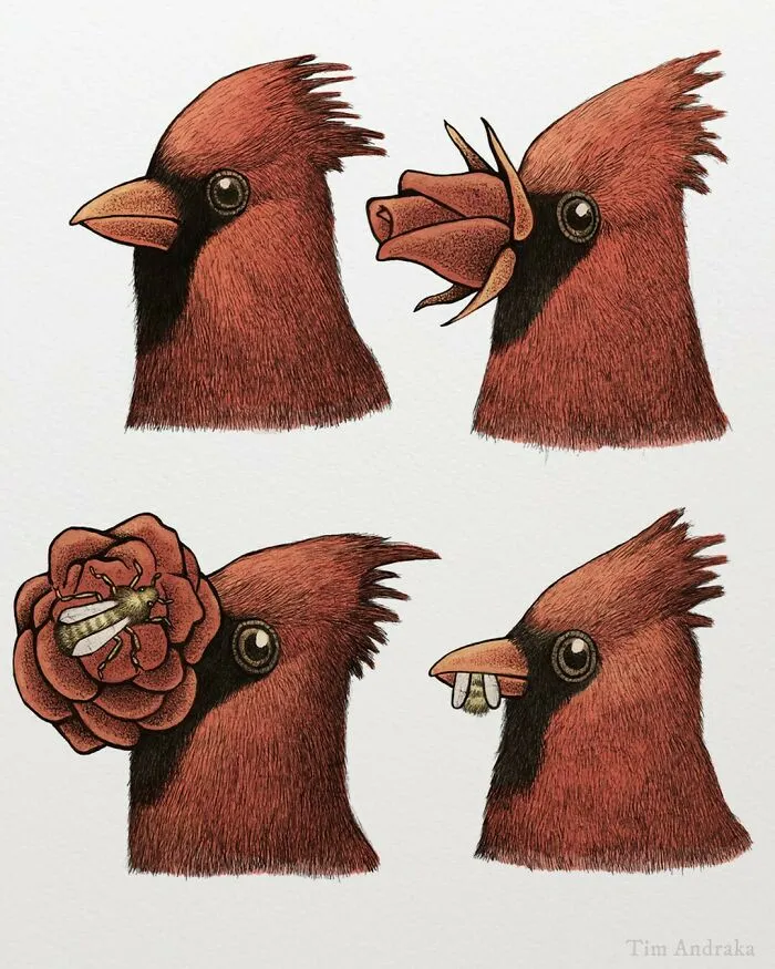 Surreal Zoology: 25 New Nonsensical Scientific Illustrations Of Wildlife By Tim Andraka