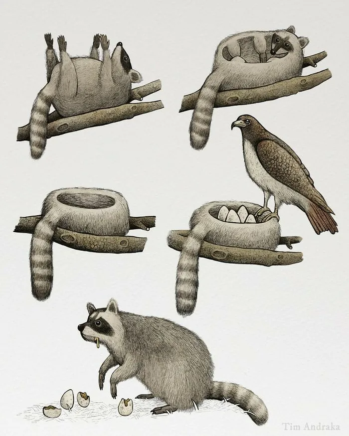 Surreal Zoology: 25 New Nonsensical Scientific Illustrations Of Wildlife By Tim Andraka
