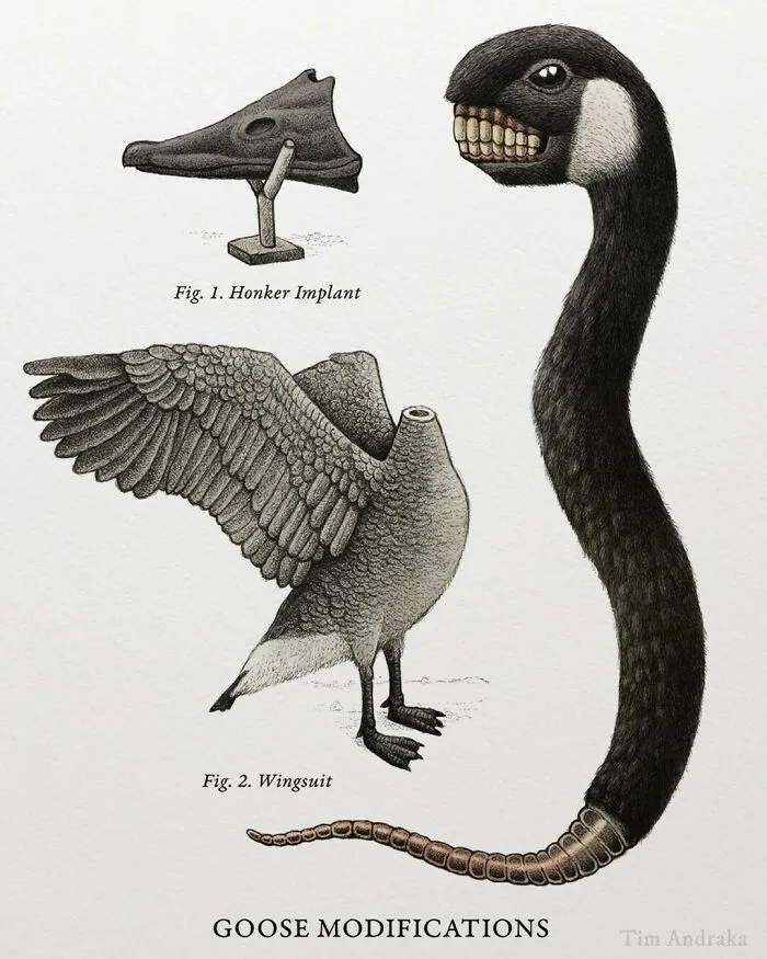 Surreal Zoology: 25 New Nonsensical Scientific Illustrations Of Wildlife By Tim Andraka