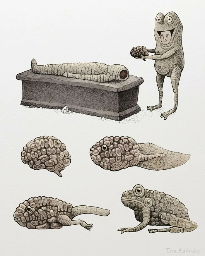 Surreal Zoology: 25 New Nonsensical Scientific Illustrations Of Wildlife By Tim Andraka