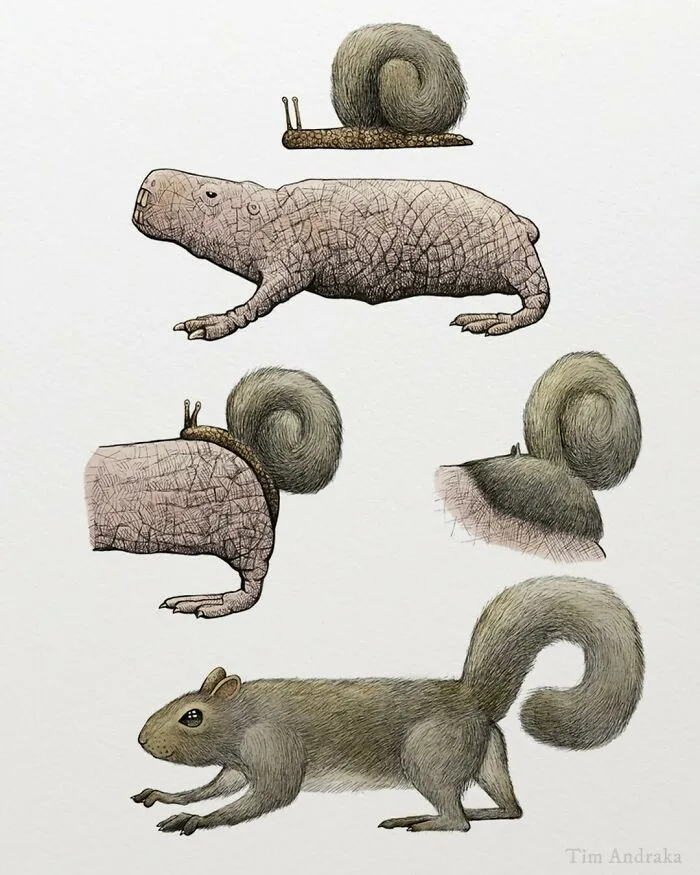Surreal Zoology: 25 New Nonsensical Scientific Illustrations Of Wildlife By Tim Andraka