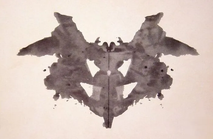 What Do You See In This Image?