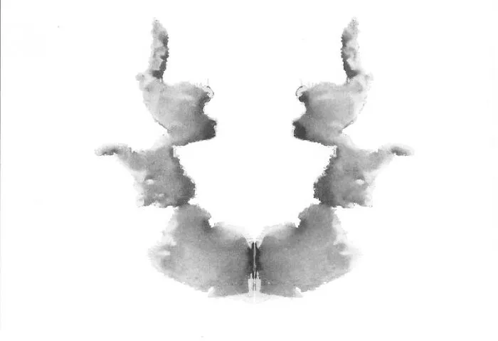 What Do You See?
