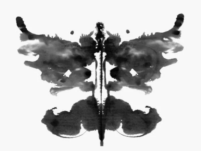 What Is In This Image?