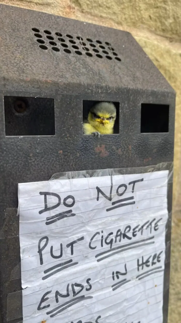 50 Times Animals Acted So Weird They Ended Up On The “Not My Animal” Page (New Pics)