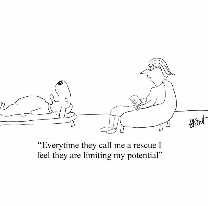 30 Lighthearted One-Panel Comics By Beverley Kort To Brighten Your Day