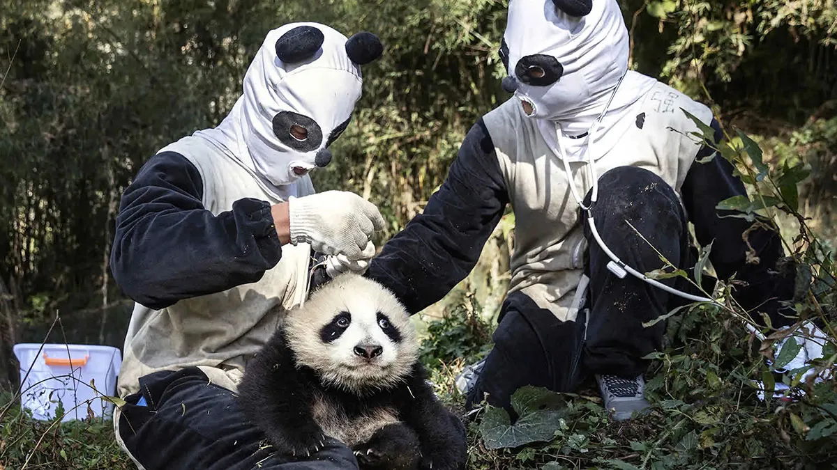 40 Times Evil Geniuses Pretended To Be Someone Else And Got Away With It (New Pics)