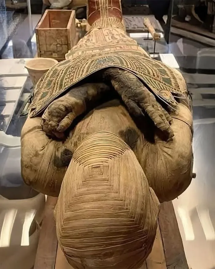 A Mummy So Perfectly Preserved That No Technology Can Restore It Once Unwrapped—this Is The Enigma Of "Bashiri." Found In 1919 By Howard Carter In The Valley Of The Kings, Its Linen Bindings Hold Secrets That Modern Science Cannot Replicate