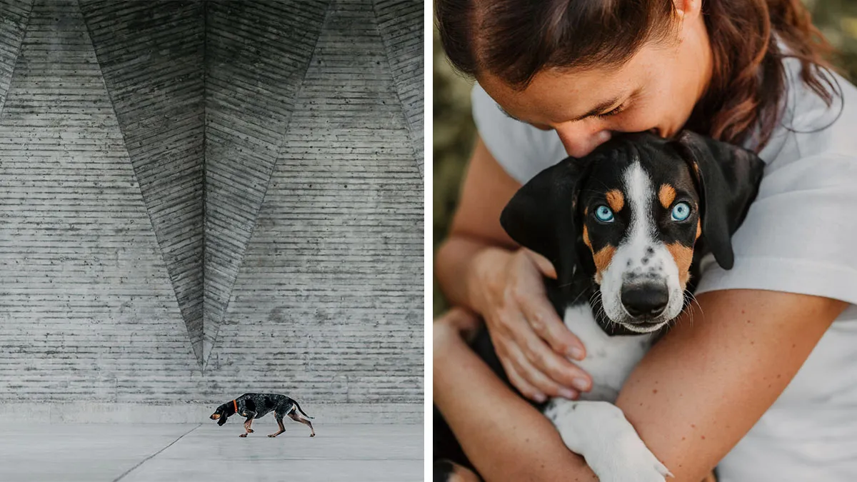21 Heartwarming Photos Capturing The Special Bond Between Animals And Their Humans By Lea Styger