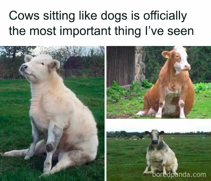 50 Science Memes From ‘Trust Me, I'm A "Biologist"’ That Might Make You Laugh