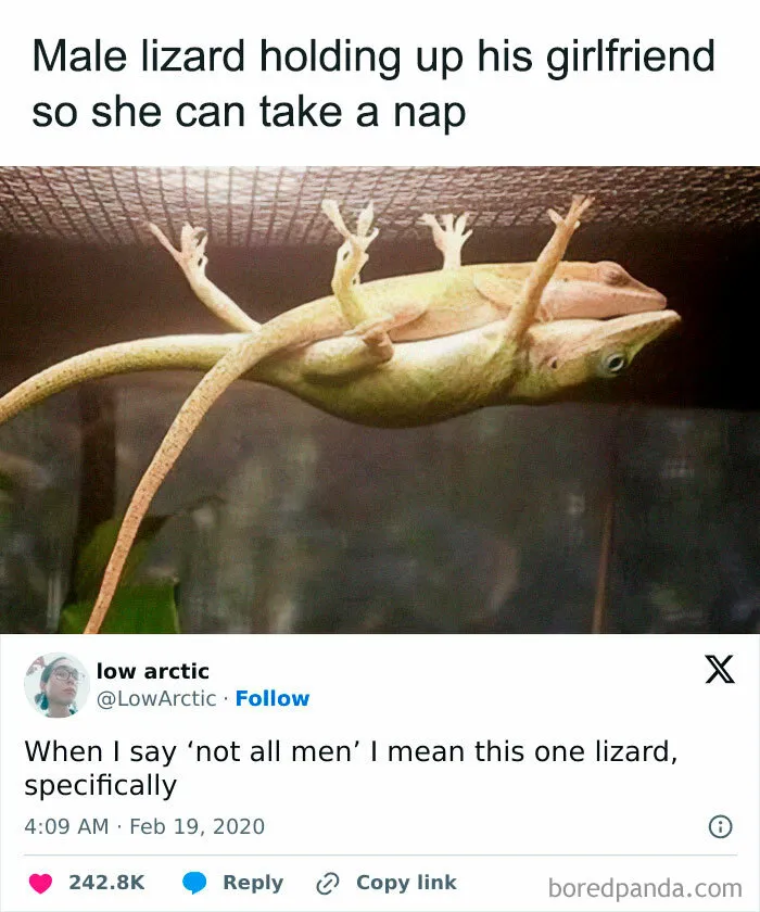 50 Science Memes From ‘Trust Me, I'm A "Biologist"’ That Might Make You Laugh