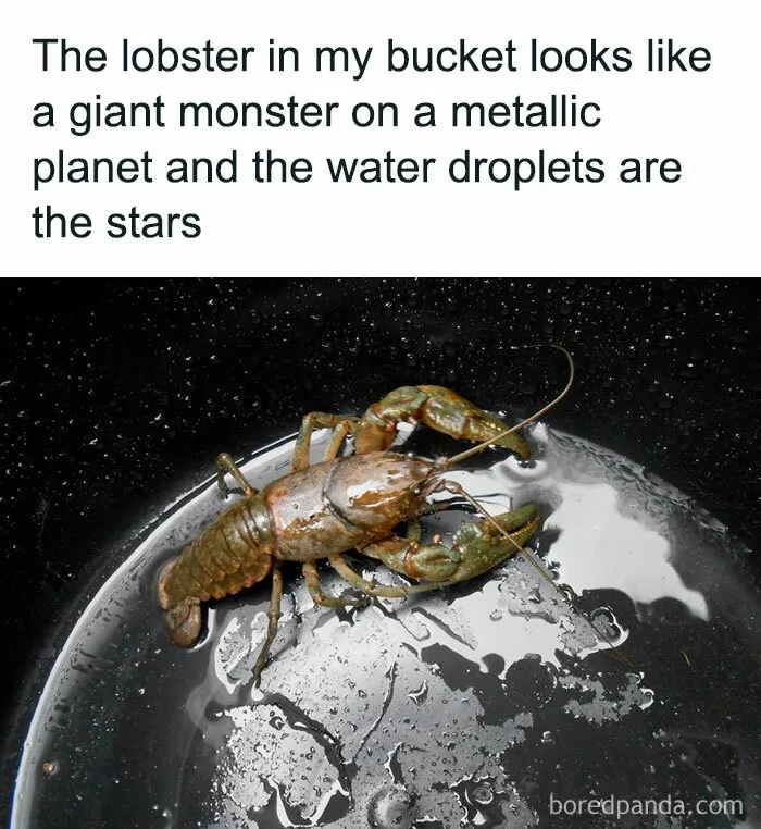 50 Science Memes From ‘Trust Me, I'm A "Biologist"’ That Might Make You Laugh